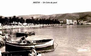 Arzew - Port - Coin